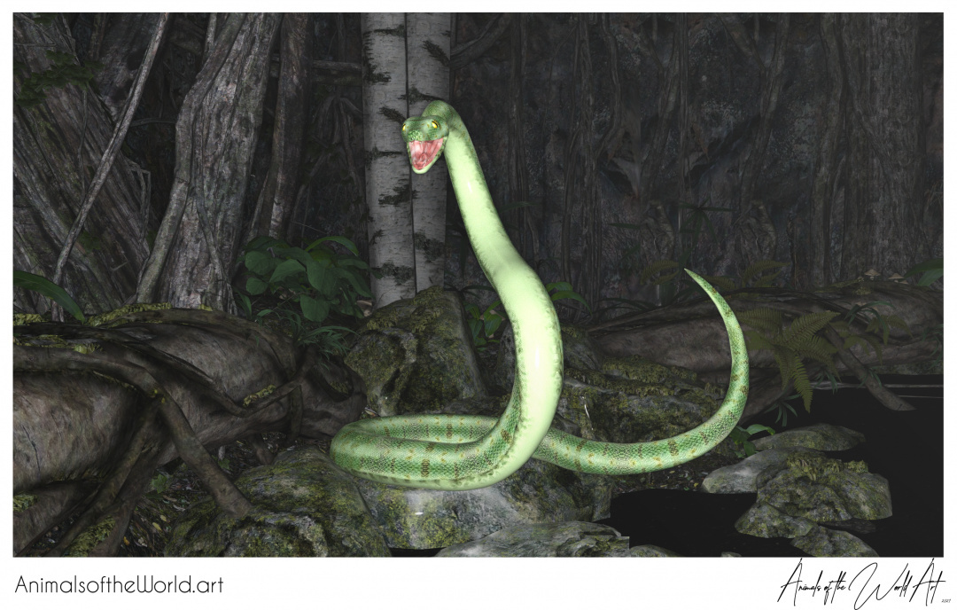 Animals of the World Art presents: Green Python 