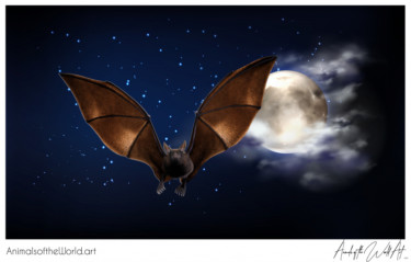 Animals of the World Art presents: Vampire Bat