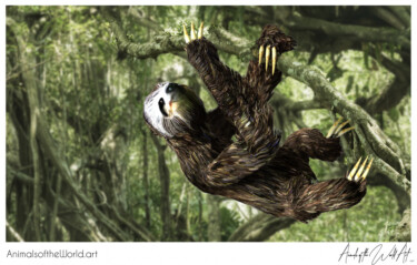 Animals of the World Art presents: Sloth
